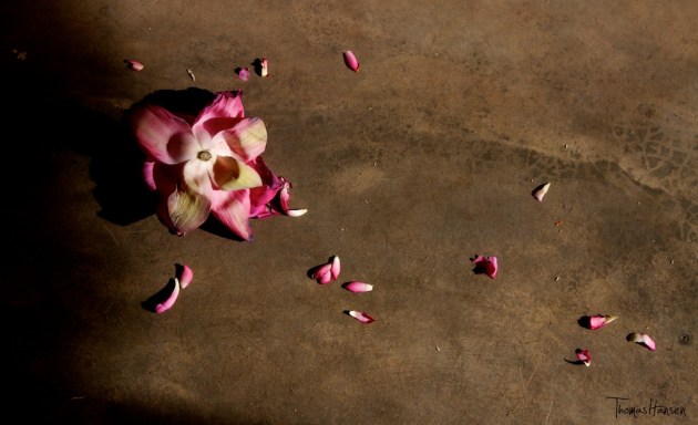 Anuradhapura - Sri Lanka 12