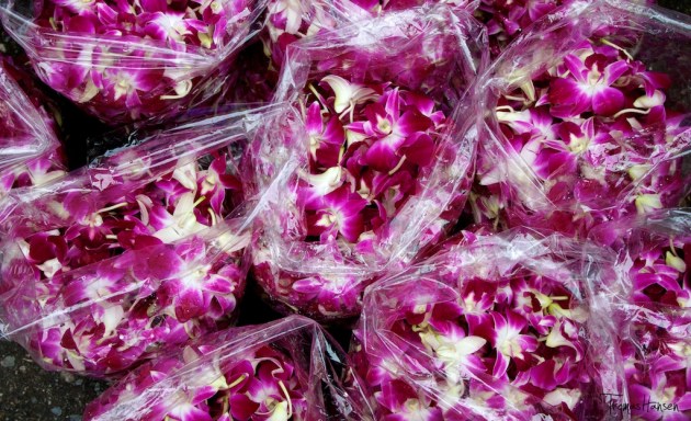 Bangkok Flower Market 3- Thailand