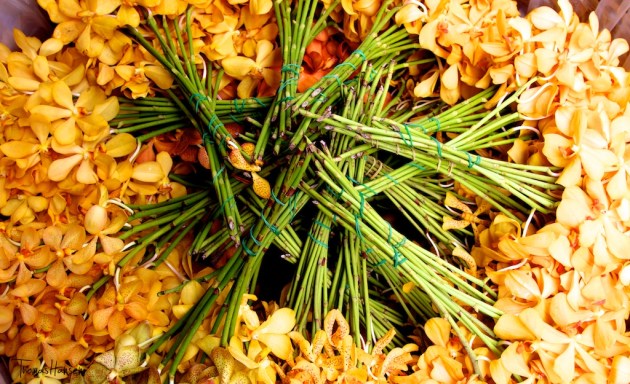 Bangkok Flower Market 6- Thailand