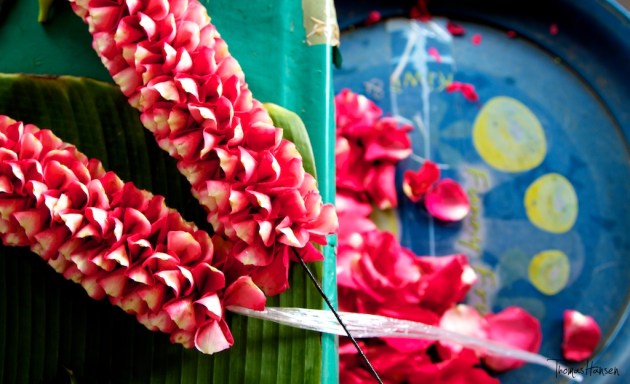Bangkok Flower Market 9- Thailand