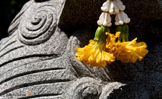 Phuang Malai - Thai Flower Arrangment 1