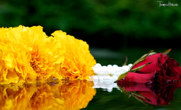 Phuang Malai - Thai Flower Arrangment 14