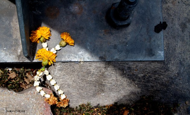 Phuang Malai - Thai Flower Arrangment 15