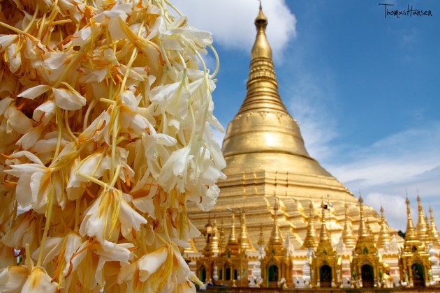 Shwedagon Pagoda - Yangon - Myanmar 3
