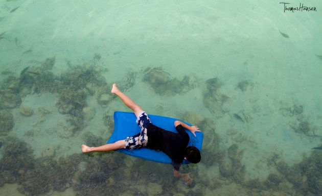 Looking for Fish at Waikiki Beach