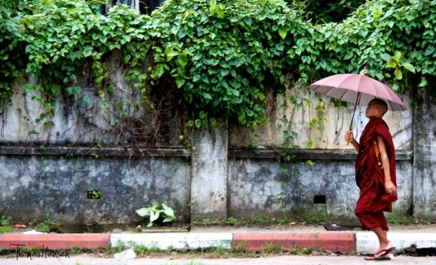 A Monk in Yangon - Myanmar