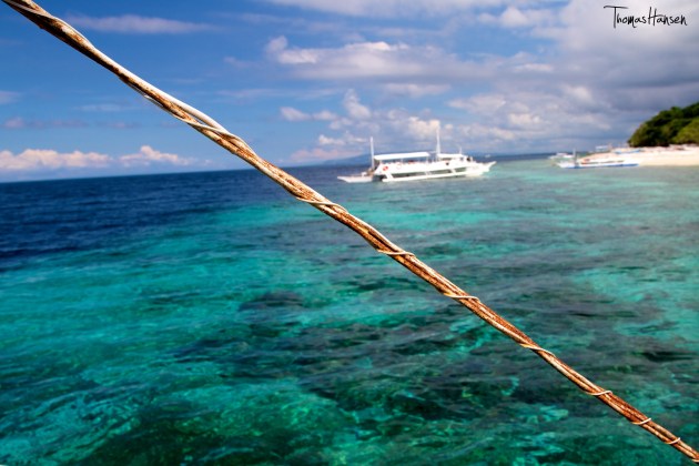 Diving Balicasag - Bohol Philippines 11