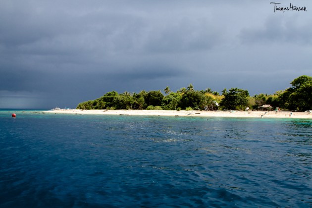 Diving Balicasag - Bohol Philippines 12