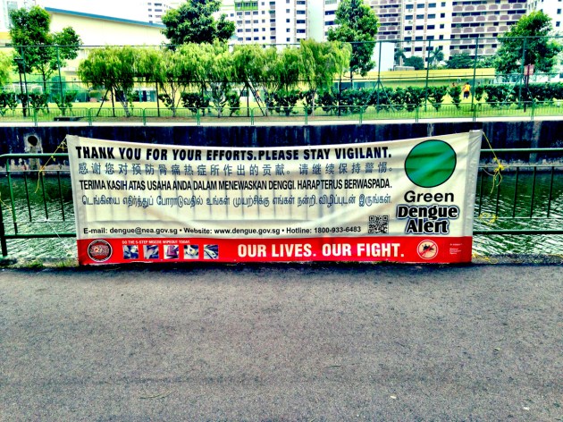 Dengue in Singapore 2014