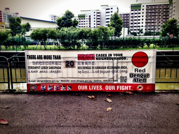 Dengue Singapore 2014