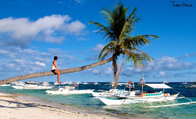 Climbing a Palm Tree - Philippines 05