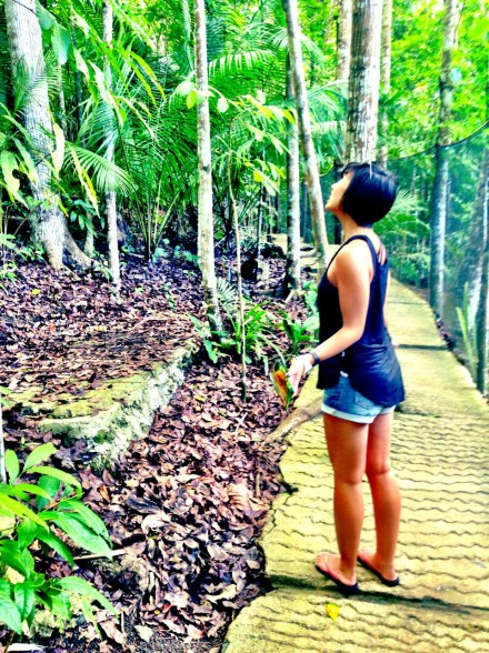 Looking for Tarsiers in Loboc Bohol Philippines