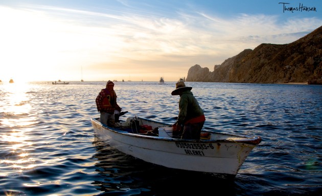 Sport Fishing Baja Peninsula Cabo San Lucas - Mexico 07