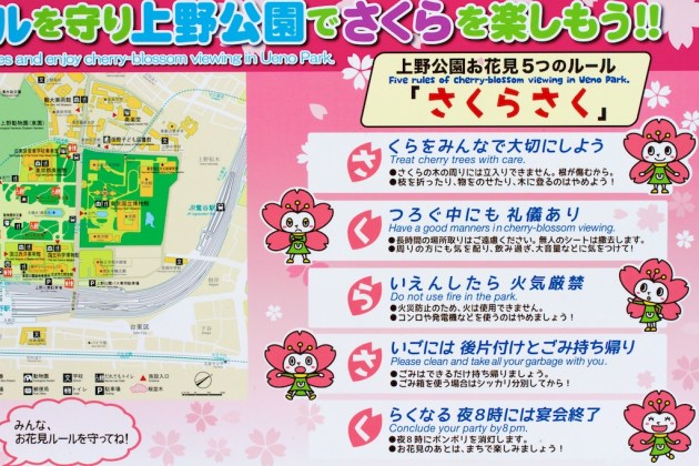 Japanese Cherry Blossom Viewing Rules