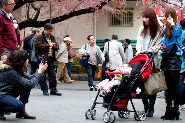 Sakura Ueno Park - Tokyo Japan 02