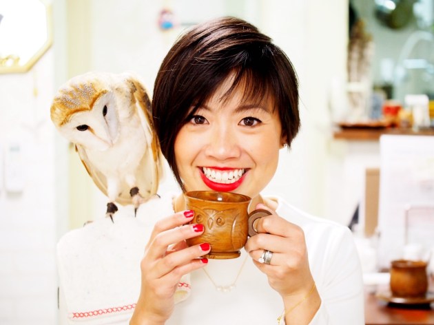 cafe-baron-owlbird-pet-cafe-tokyo-japan-02.jpg